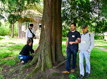 Spaziergänger schauen einen Baum an