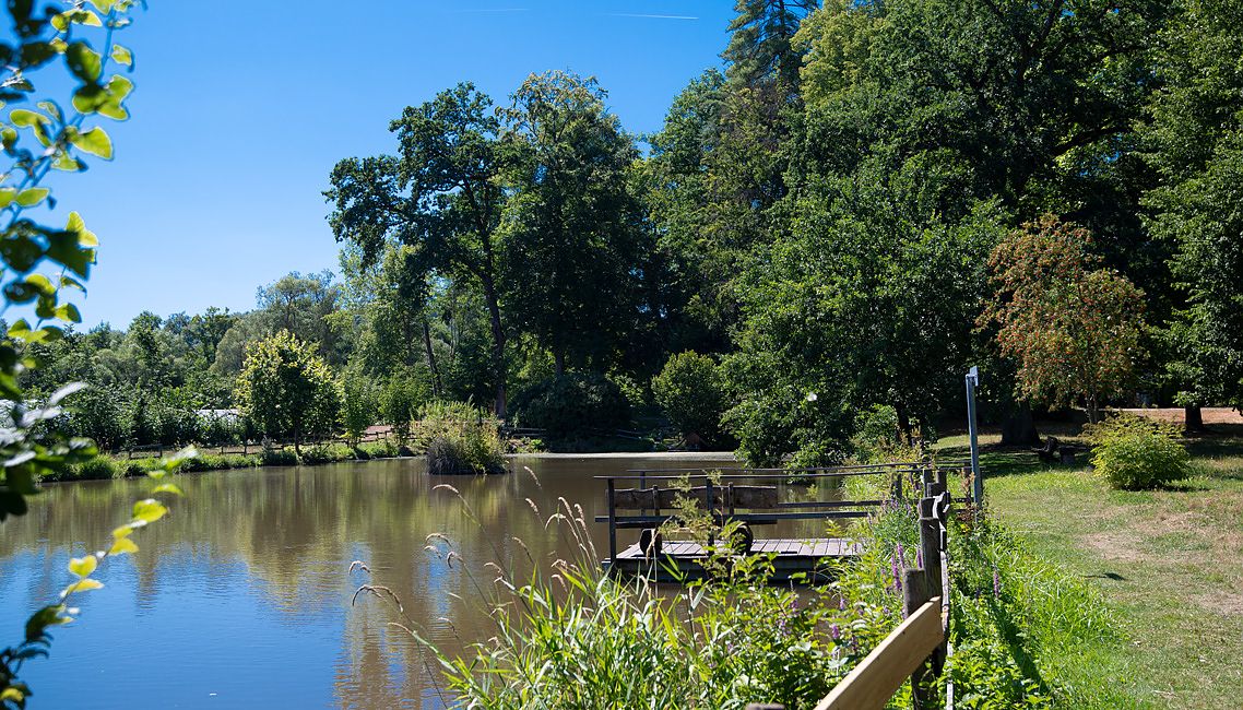 Teich im Schlosspark Stockhausen